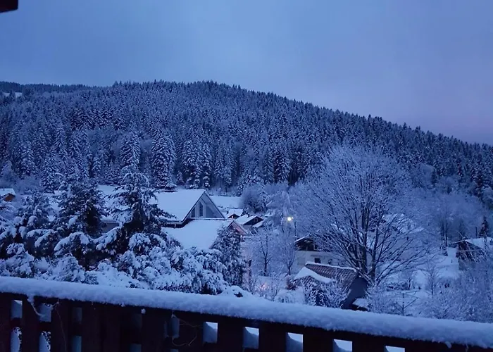 Refuge Des Cimes Prázdninový dům